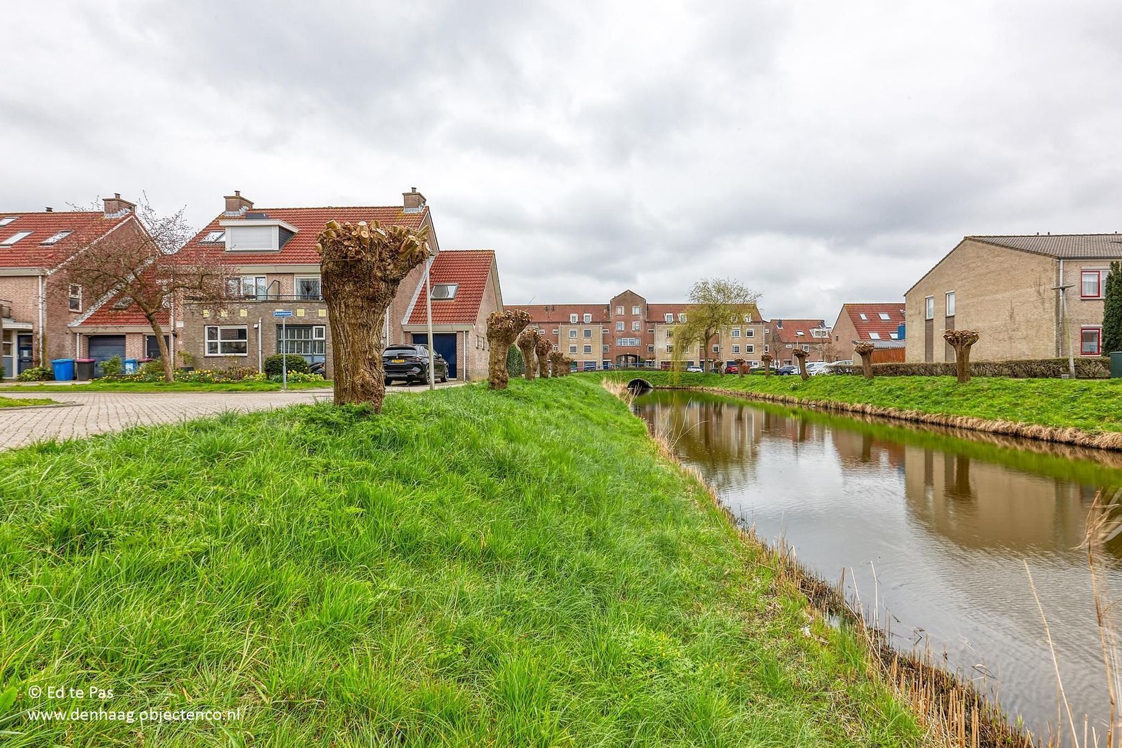 Anemoon, Nootdorp foto-46 blur