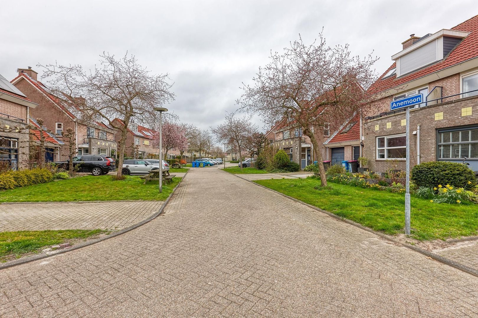 Anemoon, Nootdorp foto-44 blur