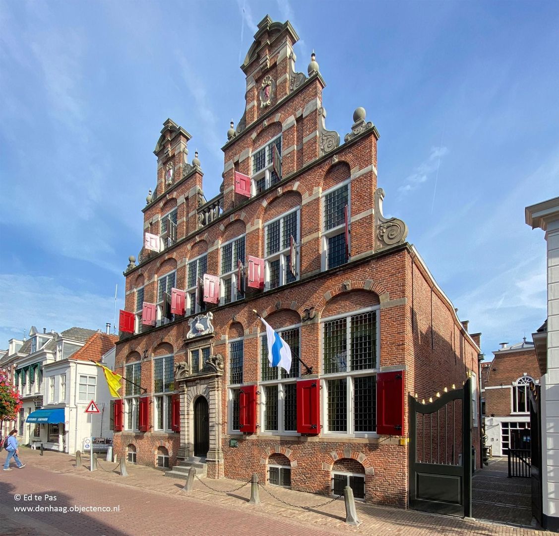 Koningin Wilhelminalaan, Voorburg foto-43 blur