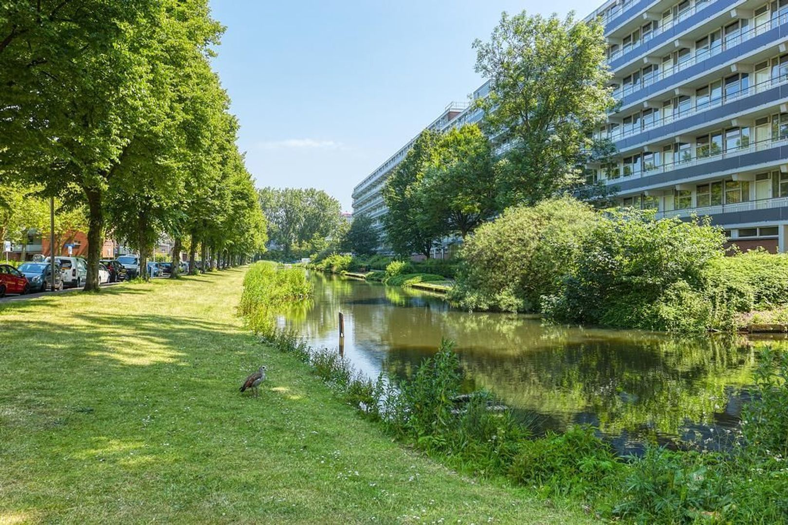 Apolloweg, Delft foto-32 blur