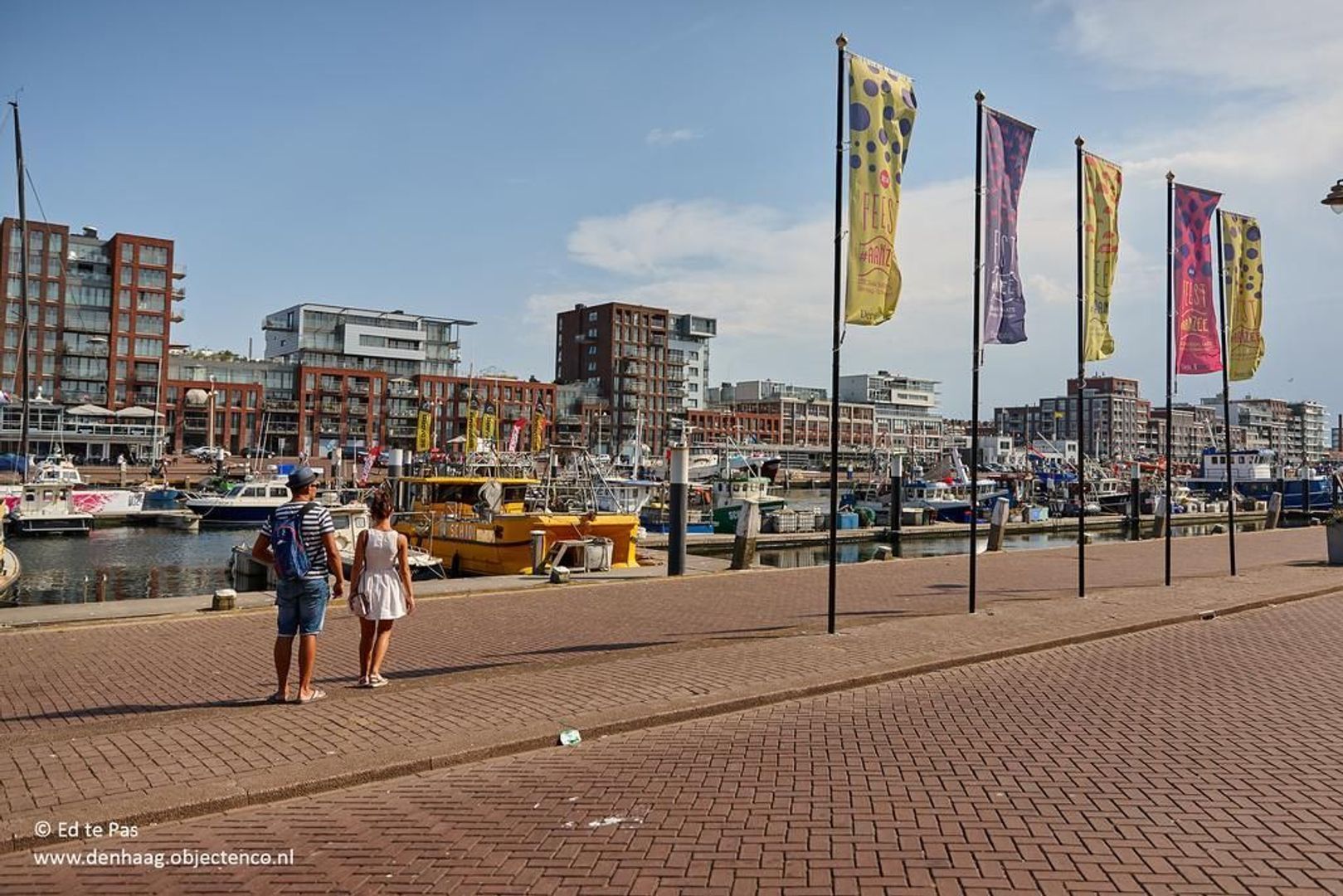 Francois Maelsonstraat 36, Den Haag foto-44 blur