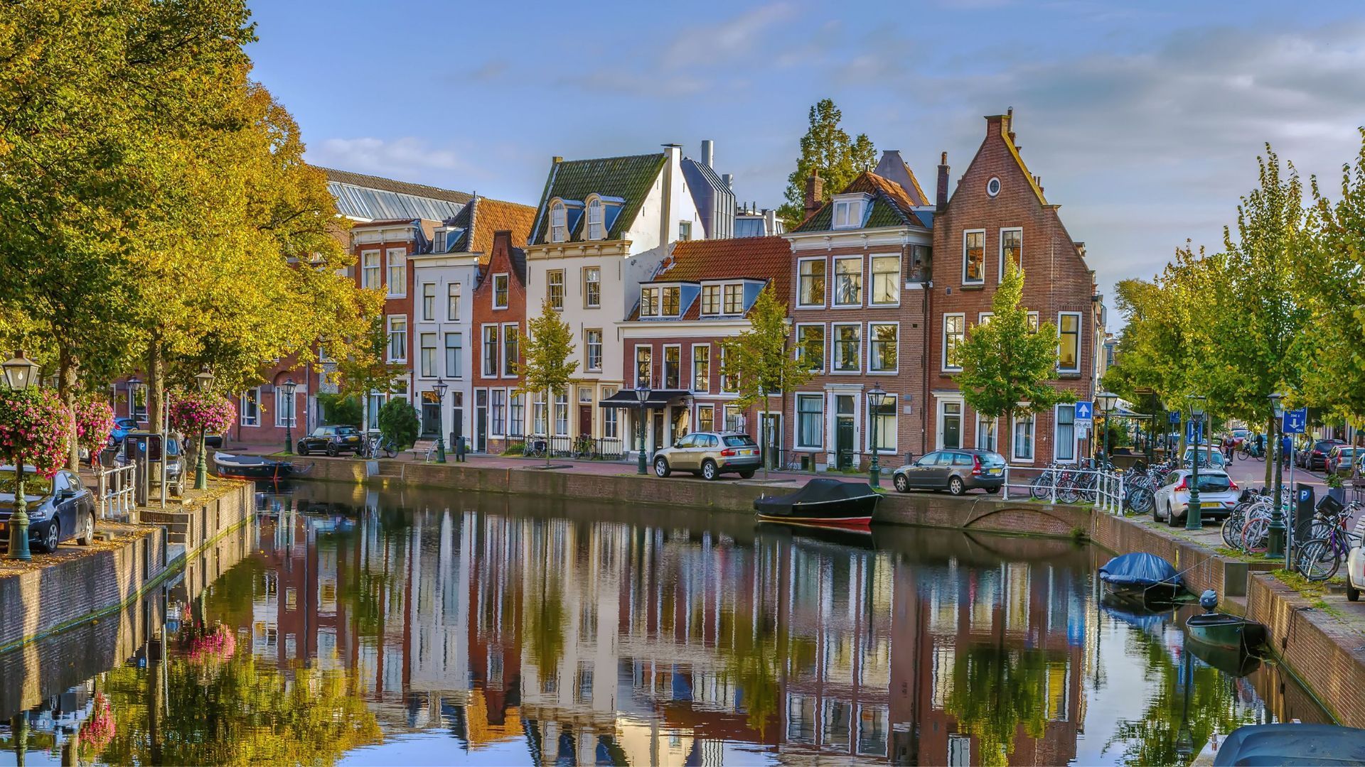 Ananasweg 8, Leiden foto-43 blur