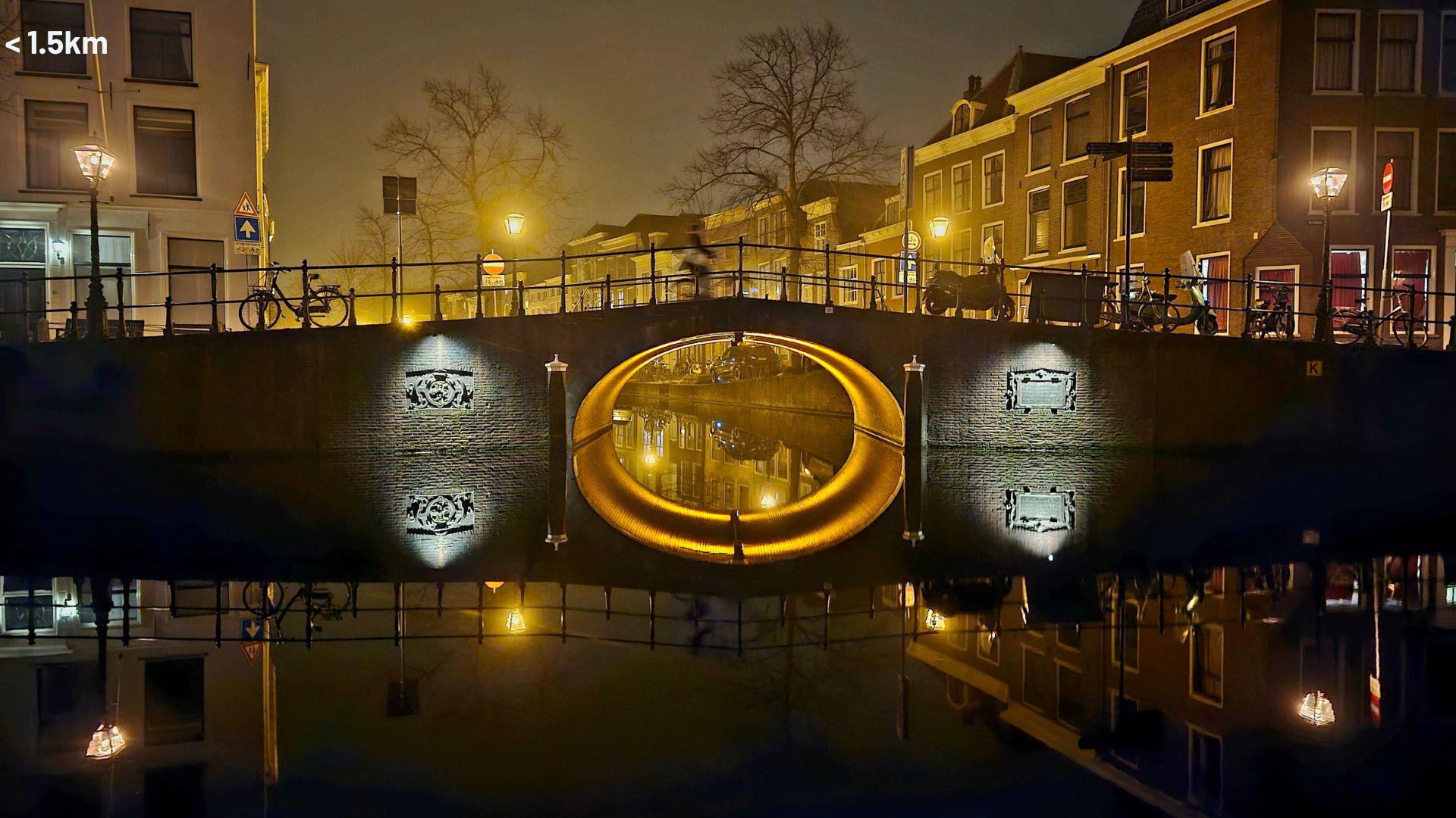 Ananasweg 8, Leiden foto-47 blur