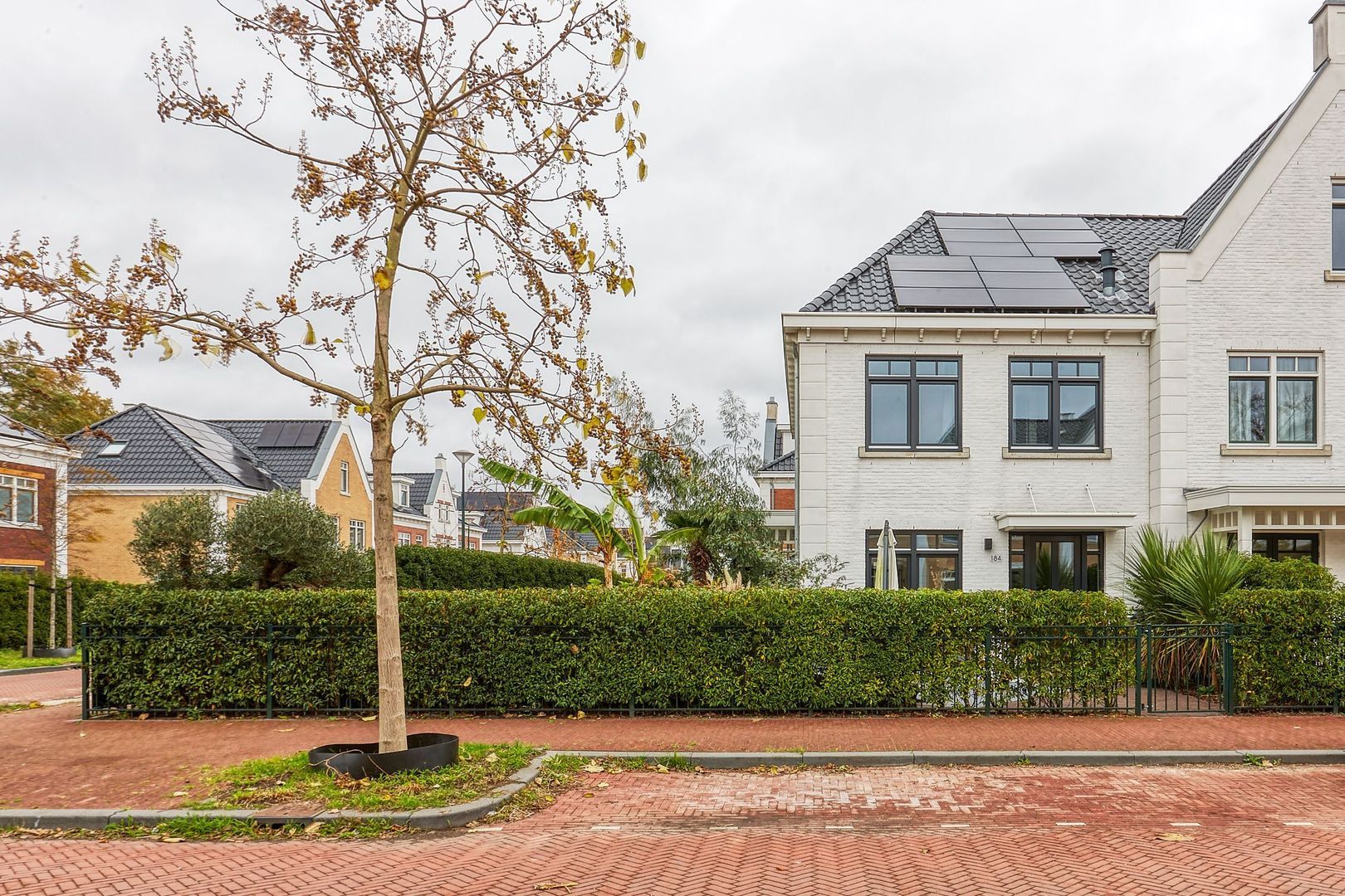 Markgraaflaan 184, Den Haag foto-46 blur