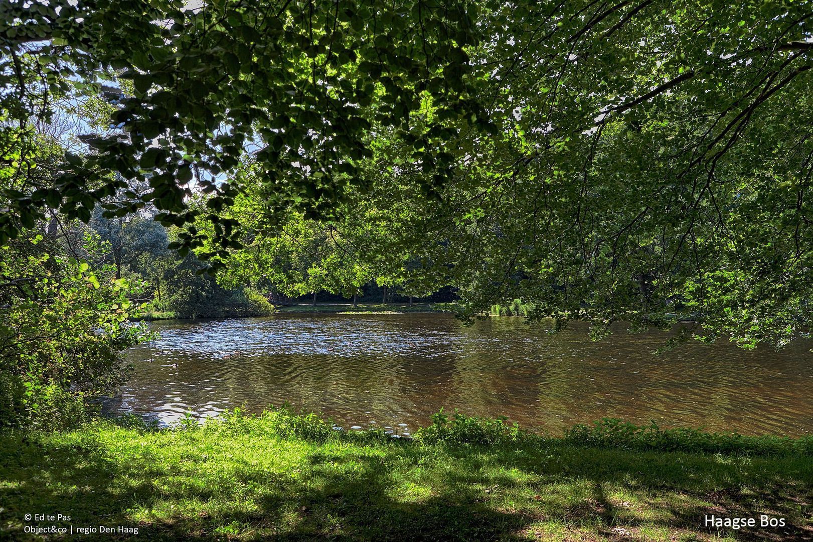 De Eerensplein 21, Den Haag foto-38 blur