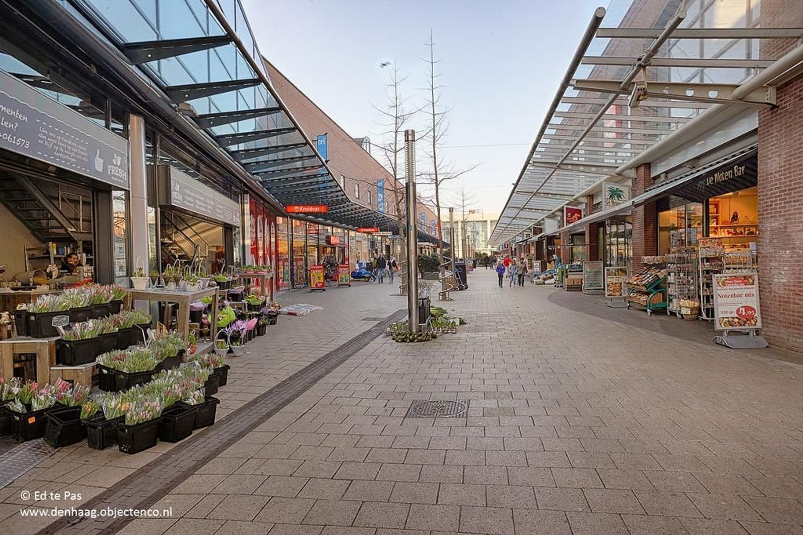 Steenvoordelaan 456, Rijswijk foto-29 blur