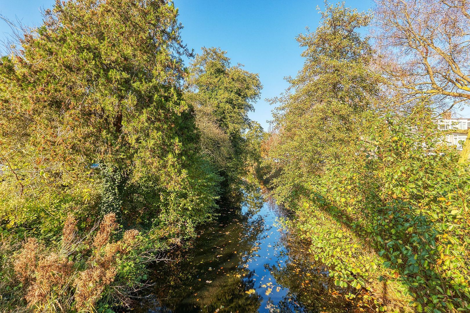 Hart Nibbrigkade 20 A, Den Haag foto-31 blur