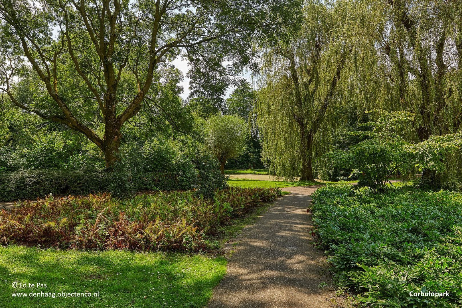 Pompe van Meerdervoortstraat 2, Voorburg foto-46 blur