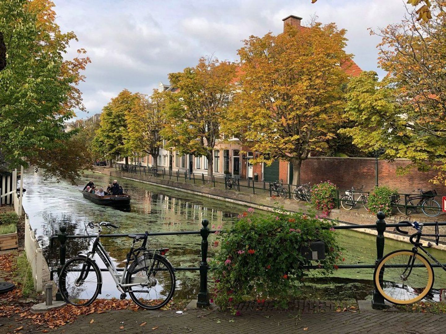 Hooikade 10 A, Den Haag foto-22 blur