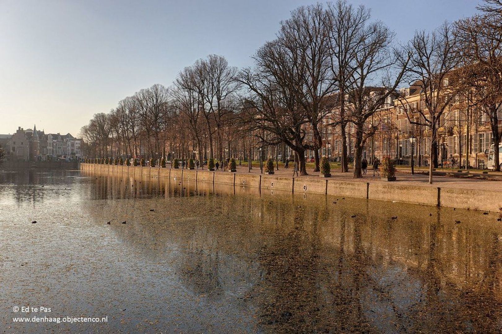 Hooikade 10 A, Den Haag foto-26 blur