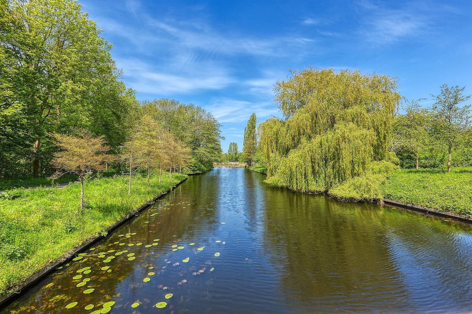 Graafschap Hollandlaan 75, Den Haag foto-39 blur