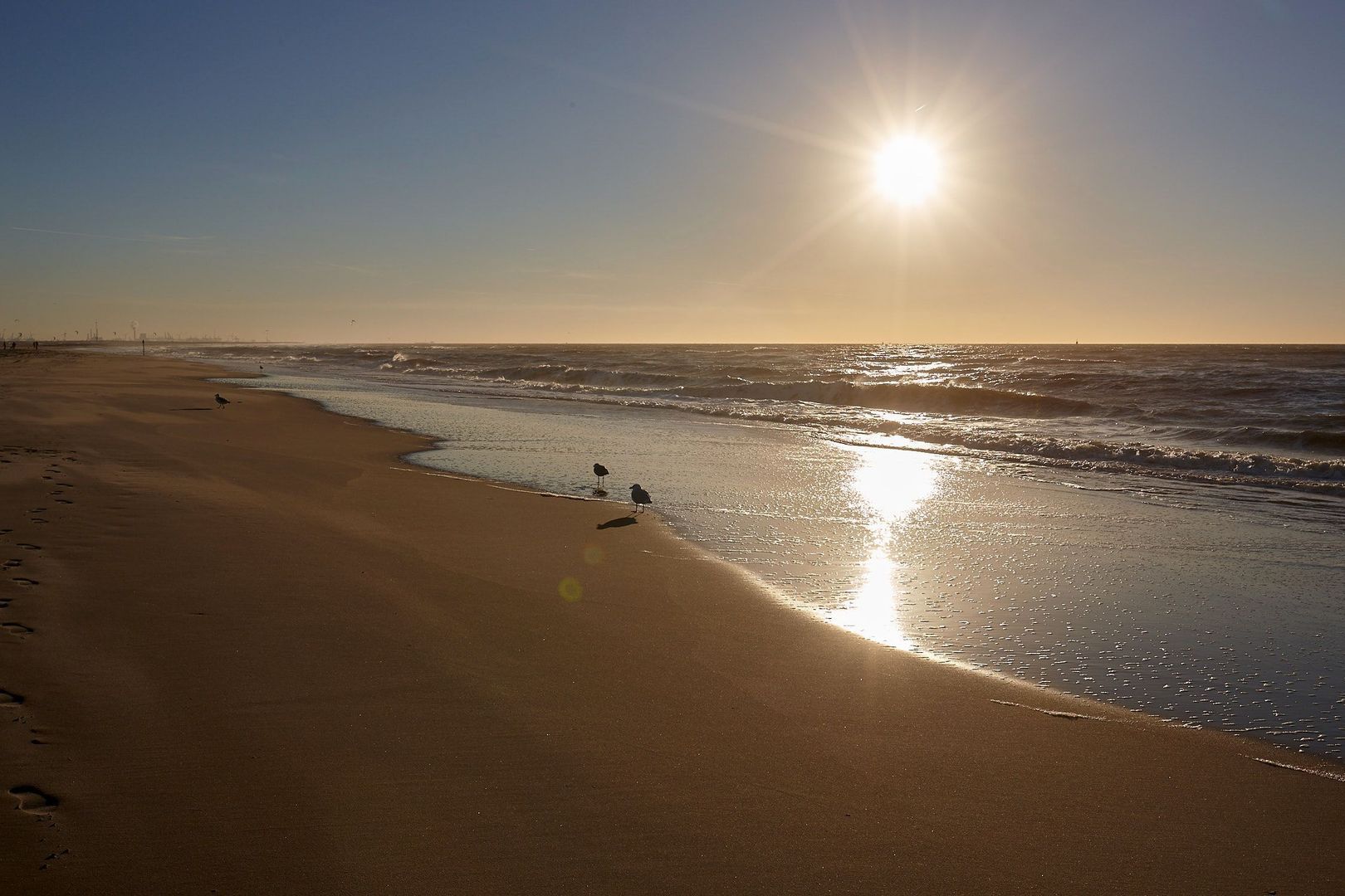 Graafschap Hollandlaan 75, Den Haag foto-41 blur
