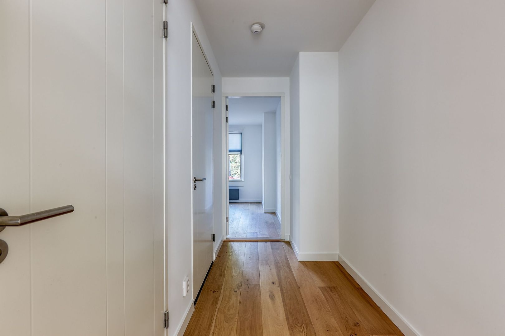 Mauritskade 57, Den Haag foto-13 blur