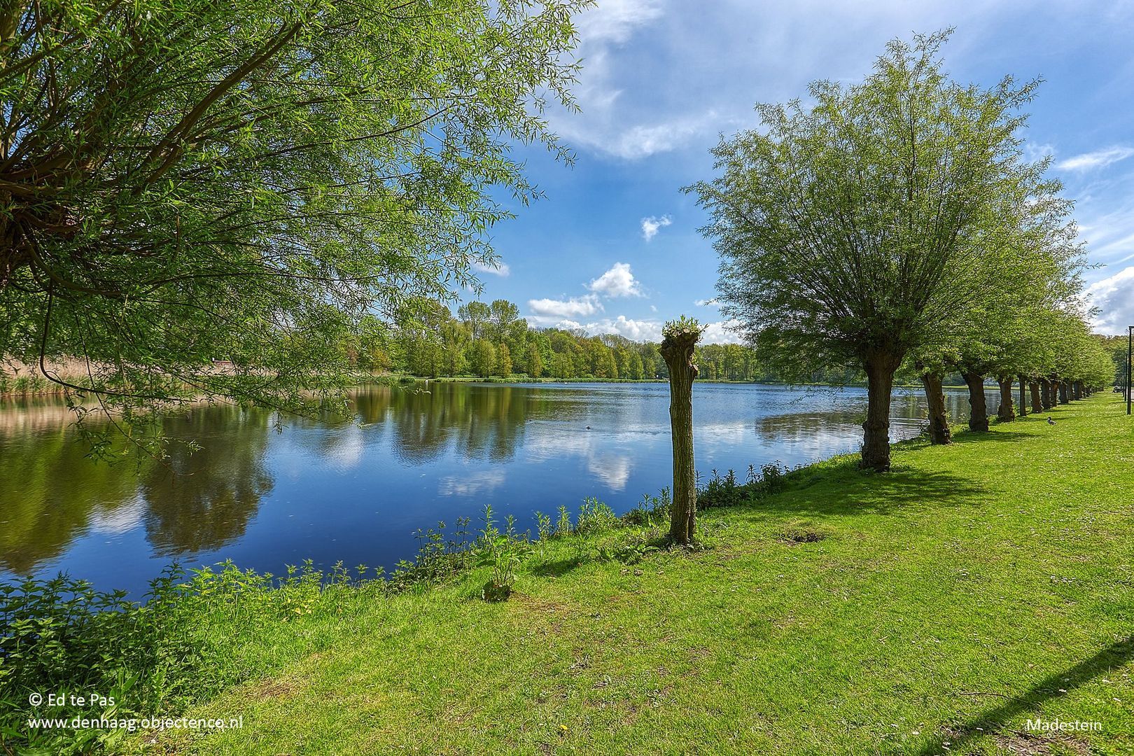 Westmadeweg 72, Den Haag foto-37 blur