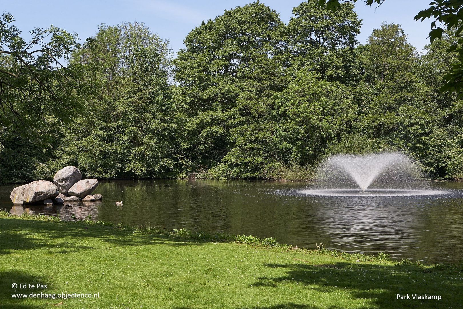 Johannes Camphuijsstraat 189, Den Haag foto-31 blur