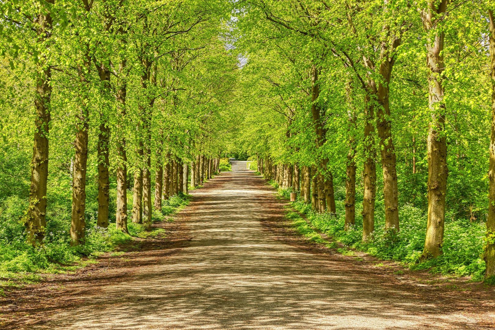 Riouwstraat 186, Den Haag foto-40 blur