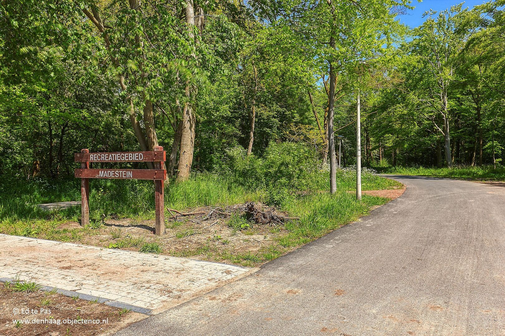 Markgraaflaan 184, Den Haag foto-48 blur