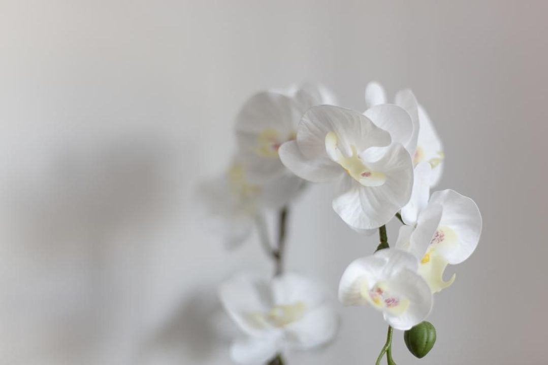 Prinsessegracht 27 B, Den Haag