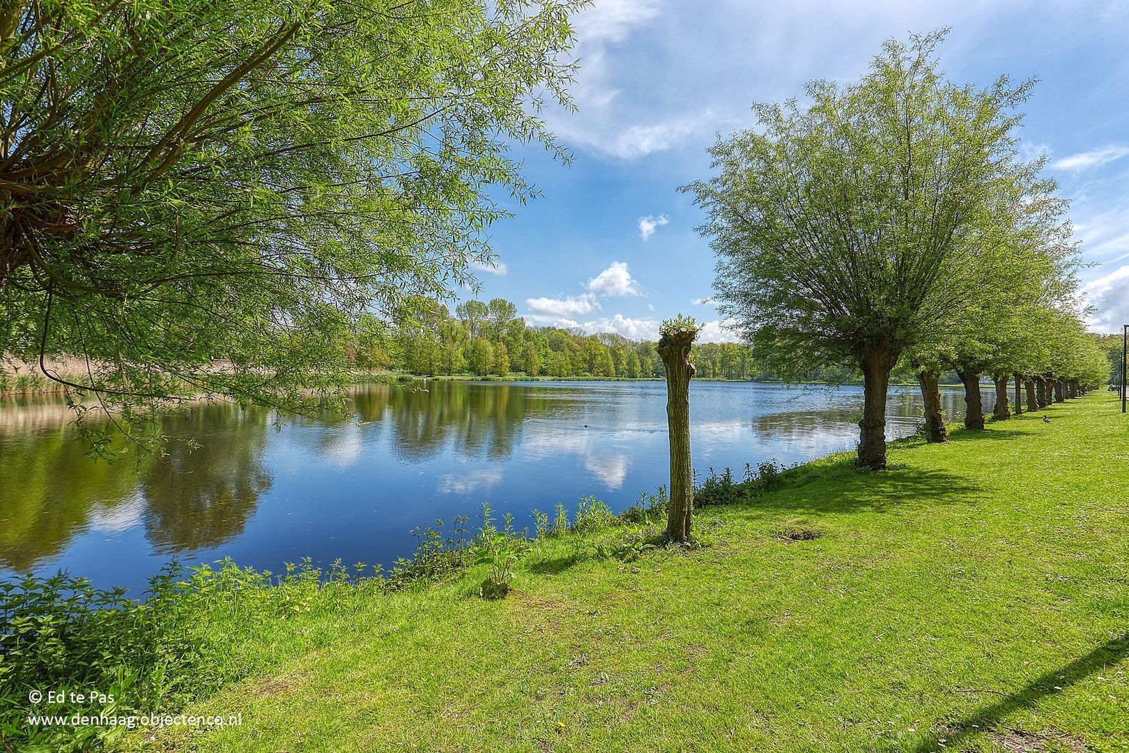 Oostmadeweg 64, Den Haag foto-42 blur
