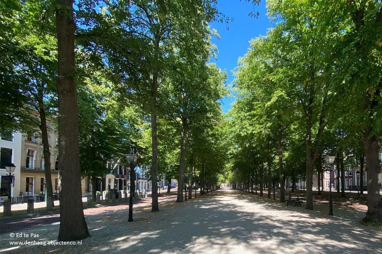 Nieuwe Schoolstraat 51, Den Haag foto-30 blur