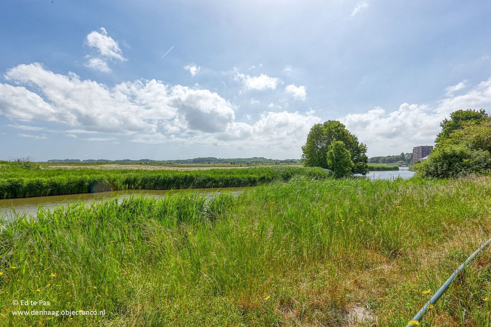 Arenastraat 88, Den Haag foto-45 blur