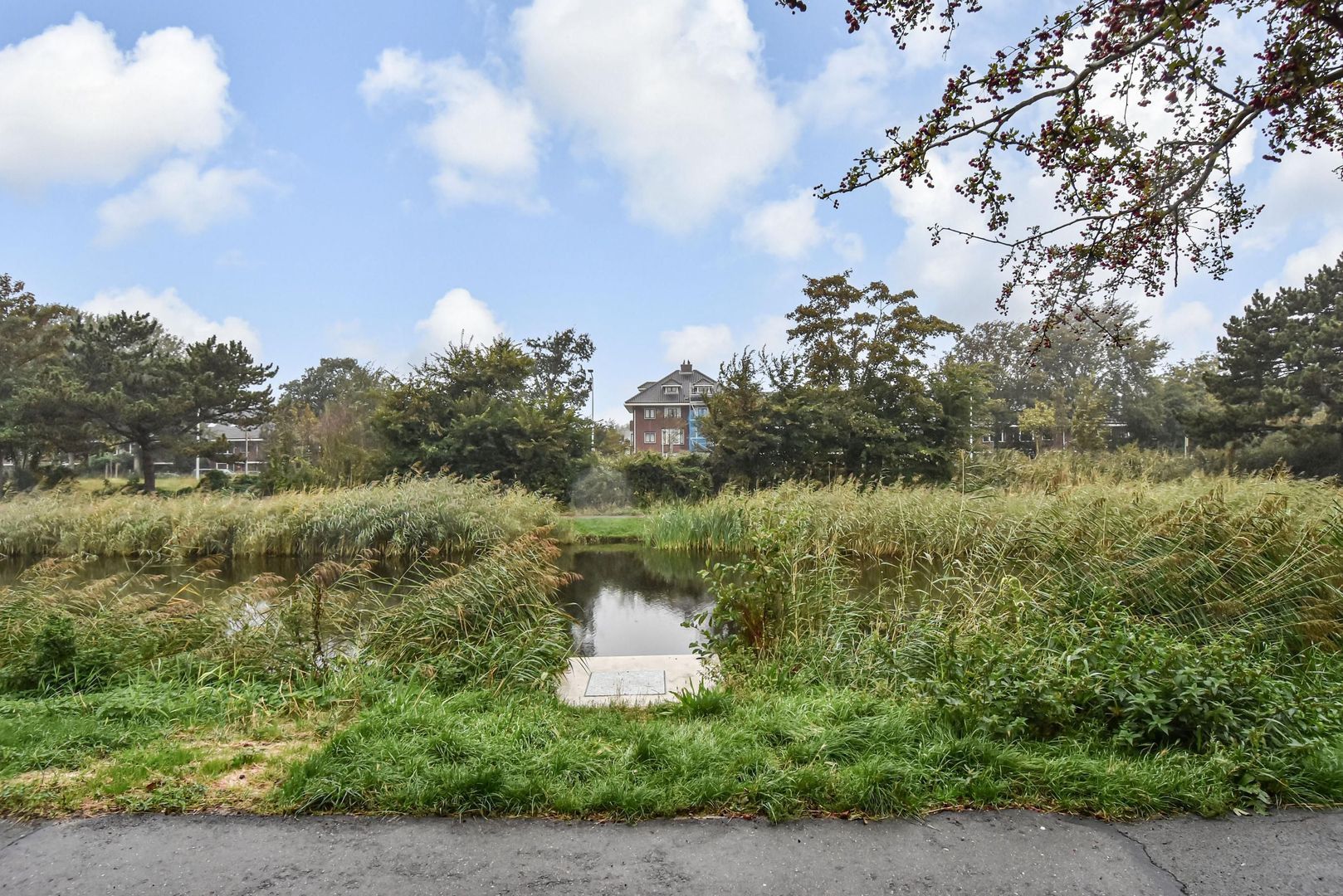 Balsemienlaan 242, Den Haag foto-50 blur