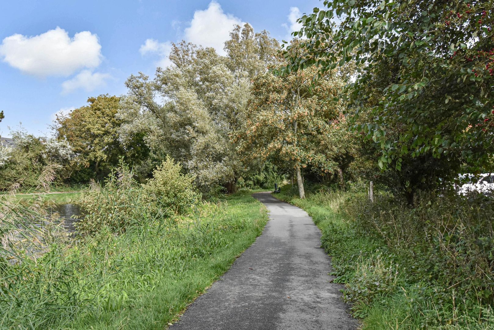 Balsemienlaan 242, Den Haag foto-52 blur