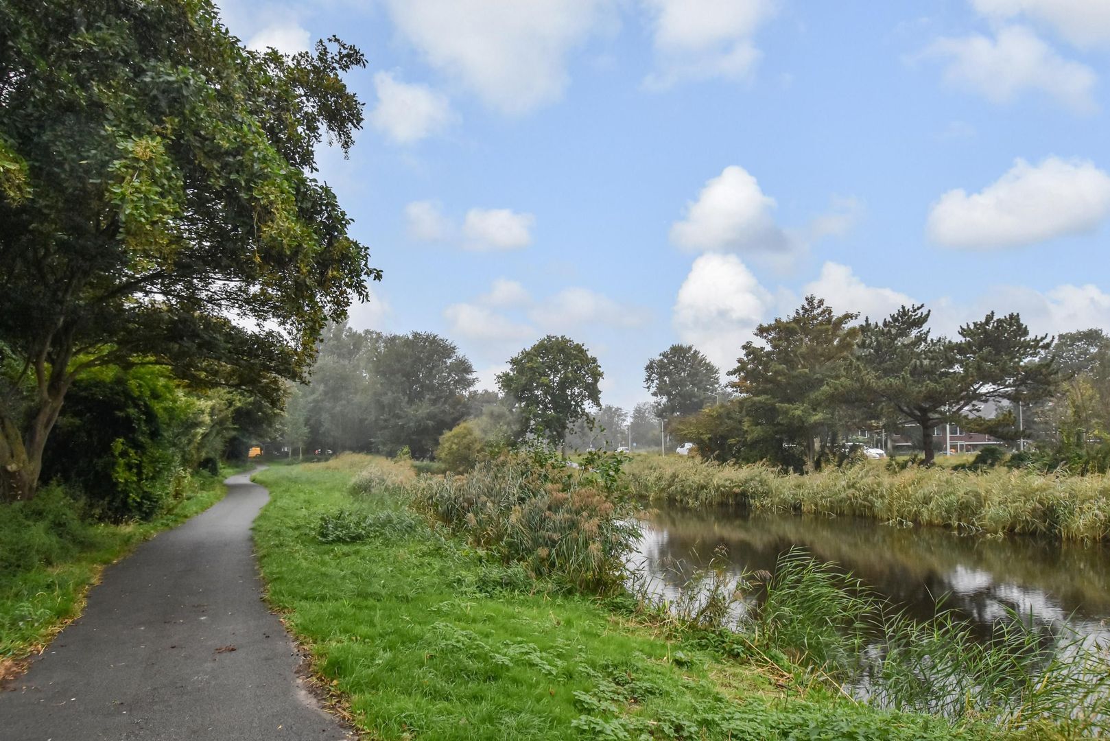 Balsemienlaan 242, Den Haag foto-49 blur