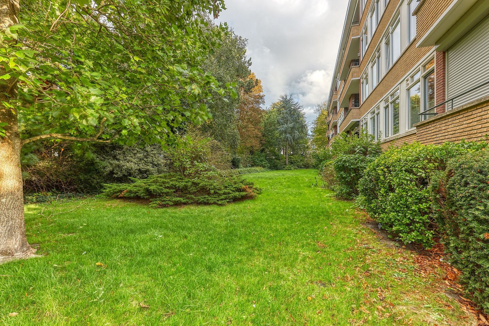 Mgr P.J. Willekenslaan 103, Rijswijk foto-39 blur