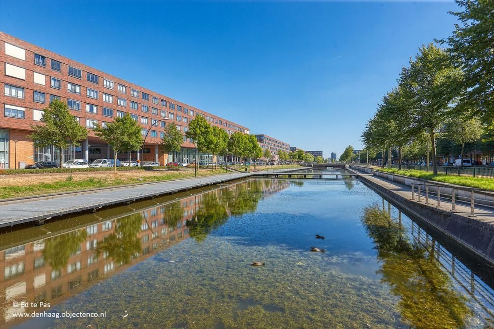 Ter Nieuwburgstraat 9, Den Haag foto-41 blur