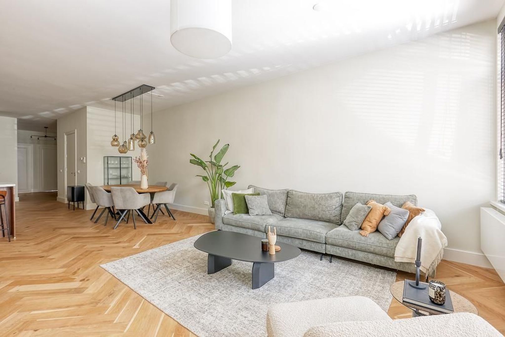 Nieuwe Schoolstraat 51, Den Haag foto-4 blur