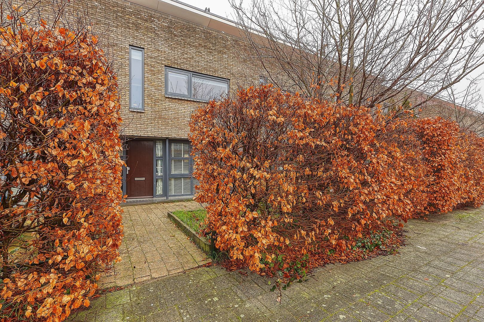 Arenastraat 88, Den Haag foto-37 blur