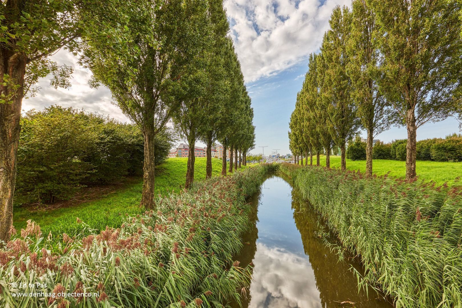 Arenastraat 88, Den Haag foto-42 blur