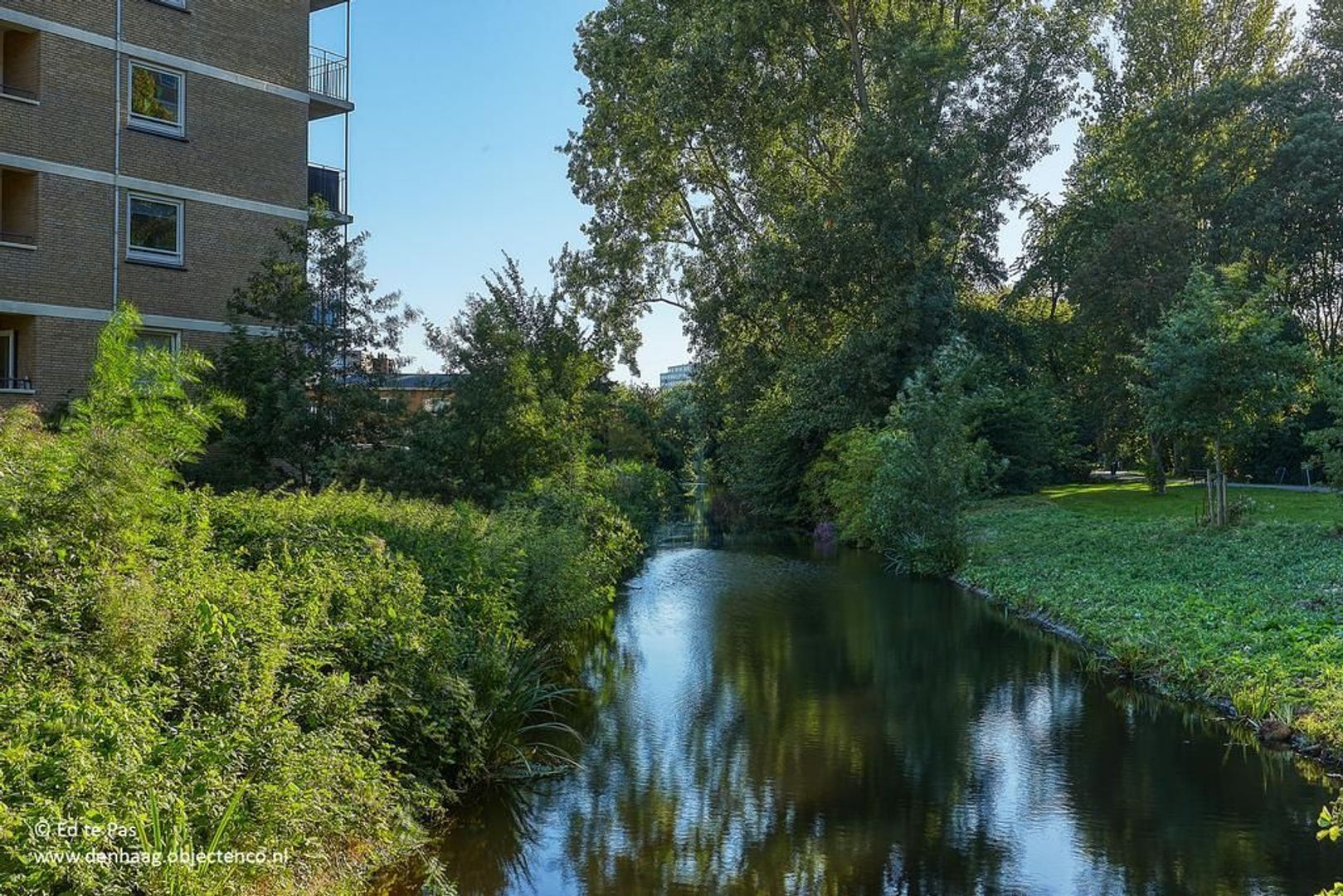 Hongarenburg 156, Den Haag foto-30 blur