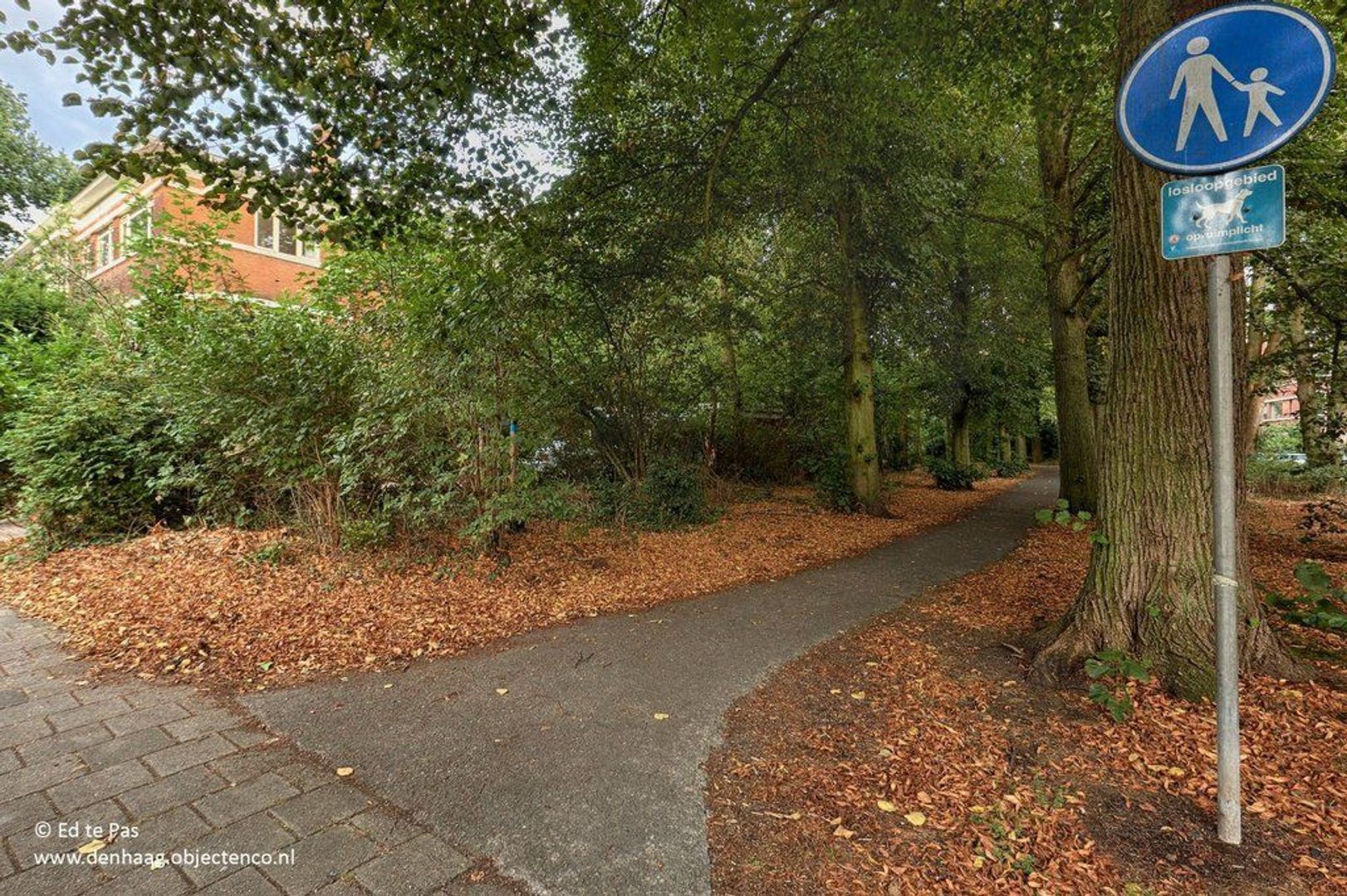 Van Kijfhoeklaan 96, Den Haag foto-30 blur