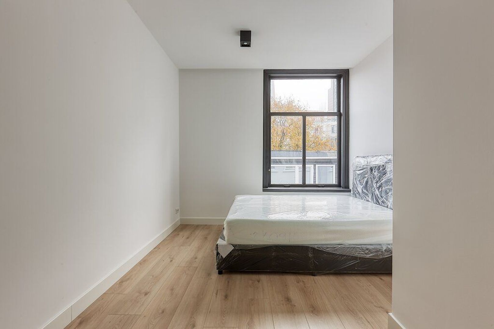 Korte Houtstraat 20 A, Den Haag foto-9 blur