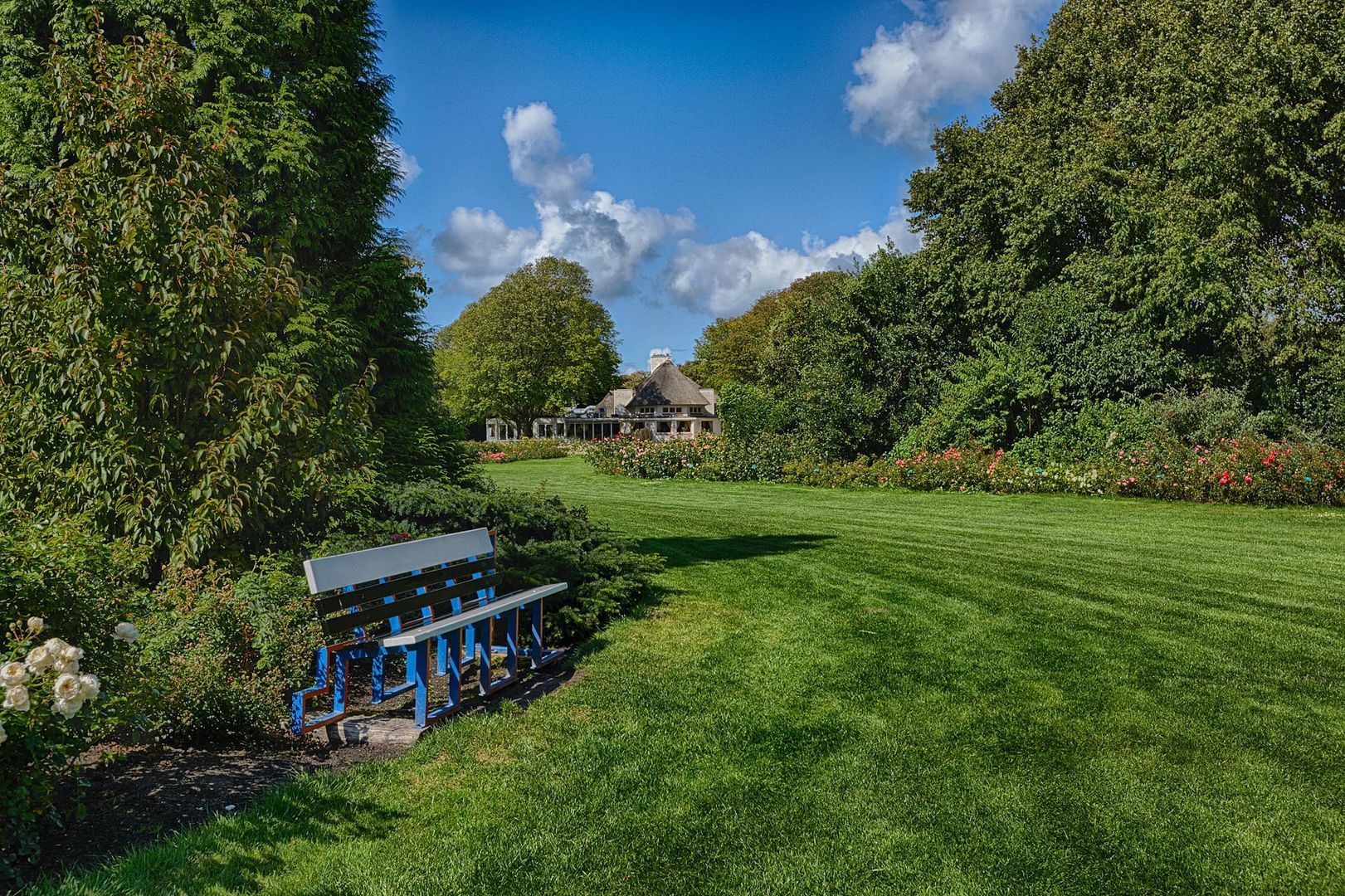 Berkenbosch Blokstraat 81, Den Haag foto-30 blur