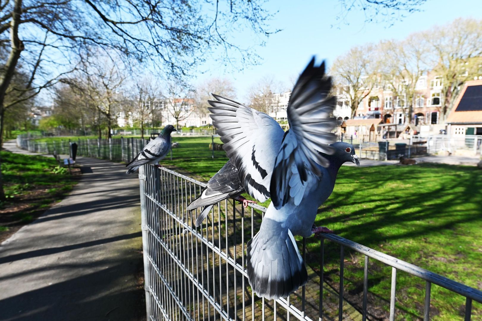 Berkenbosch Blokstraat 81, Den Haag foto-39 blur
