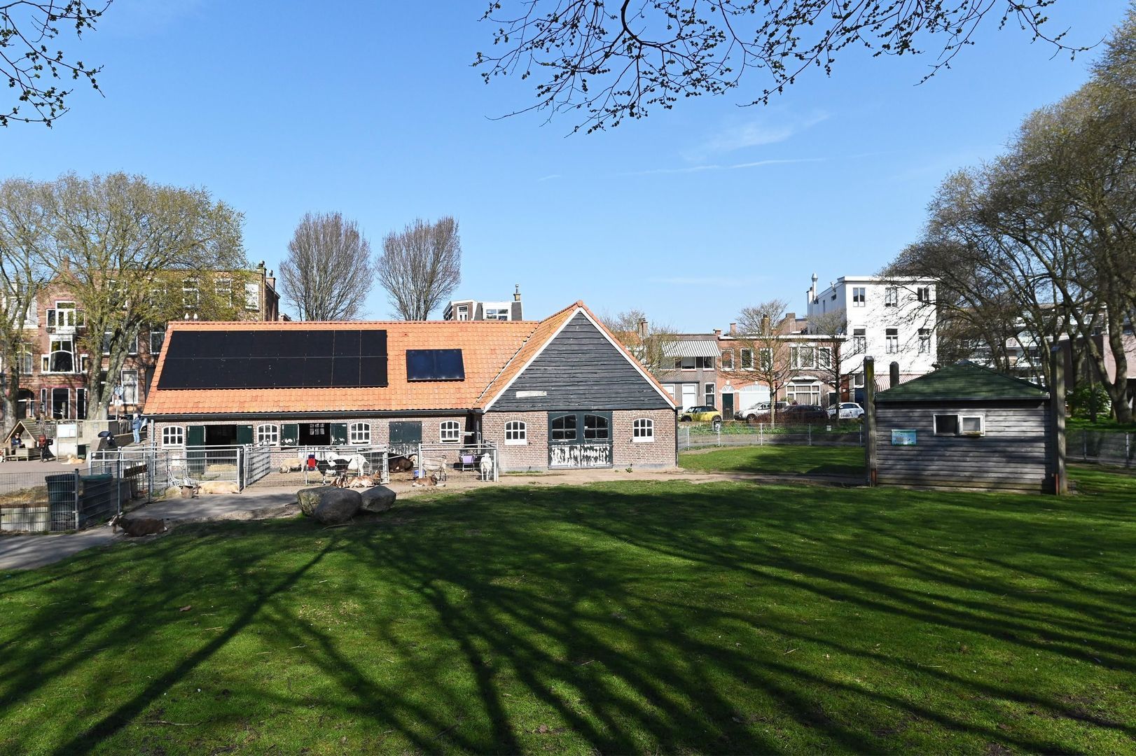 Berkenbosch Blokstraat 81, Den Haag foto-40 blur