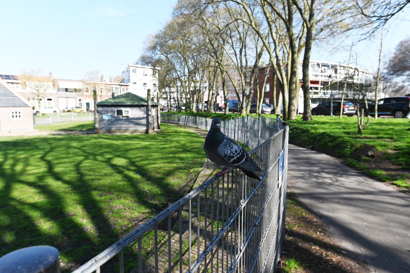Berkenbosch Blokstraat 81, Den Haag foto-38 blur