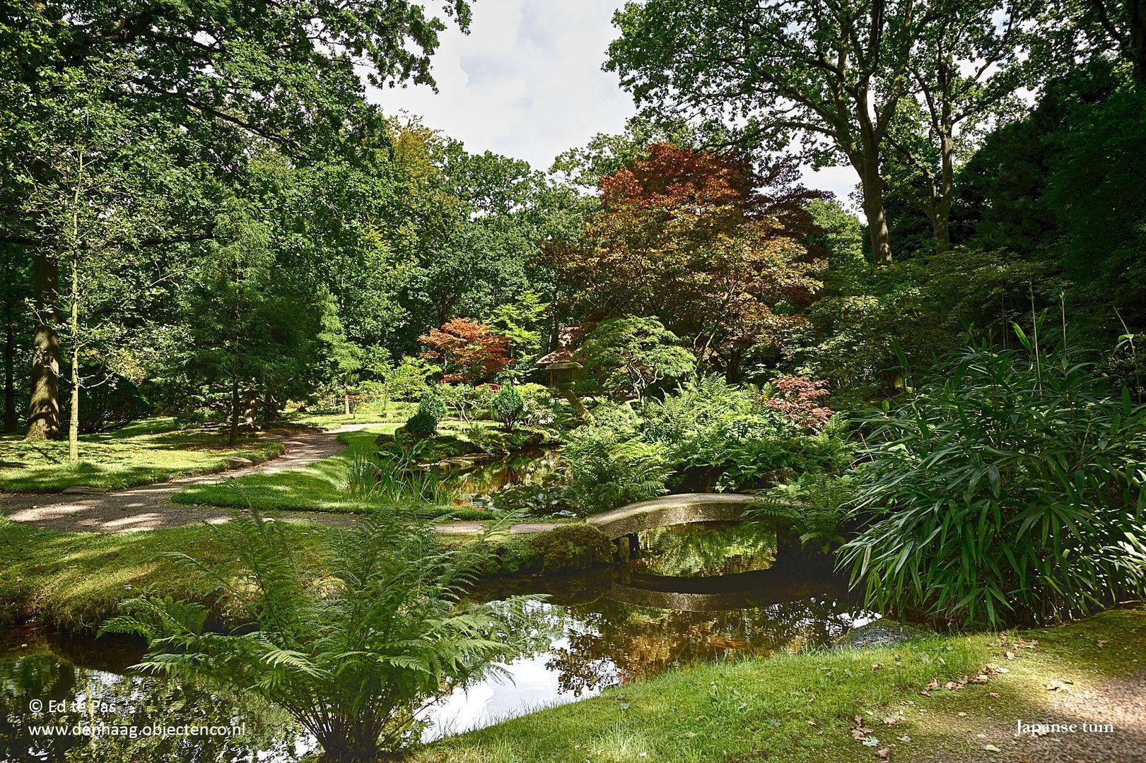 Van Alkemadelaan 181, Den Haag foto-41 blur