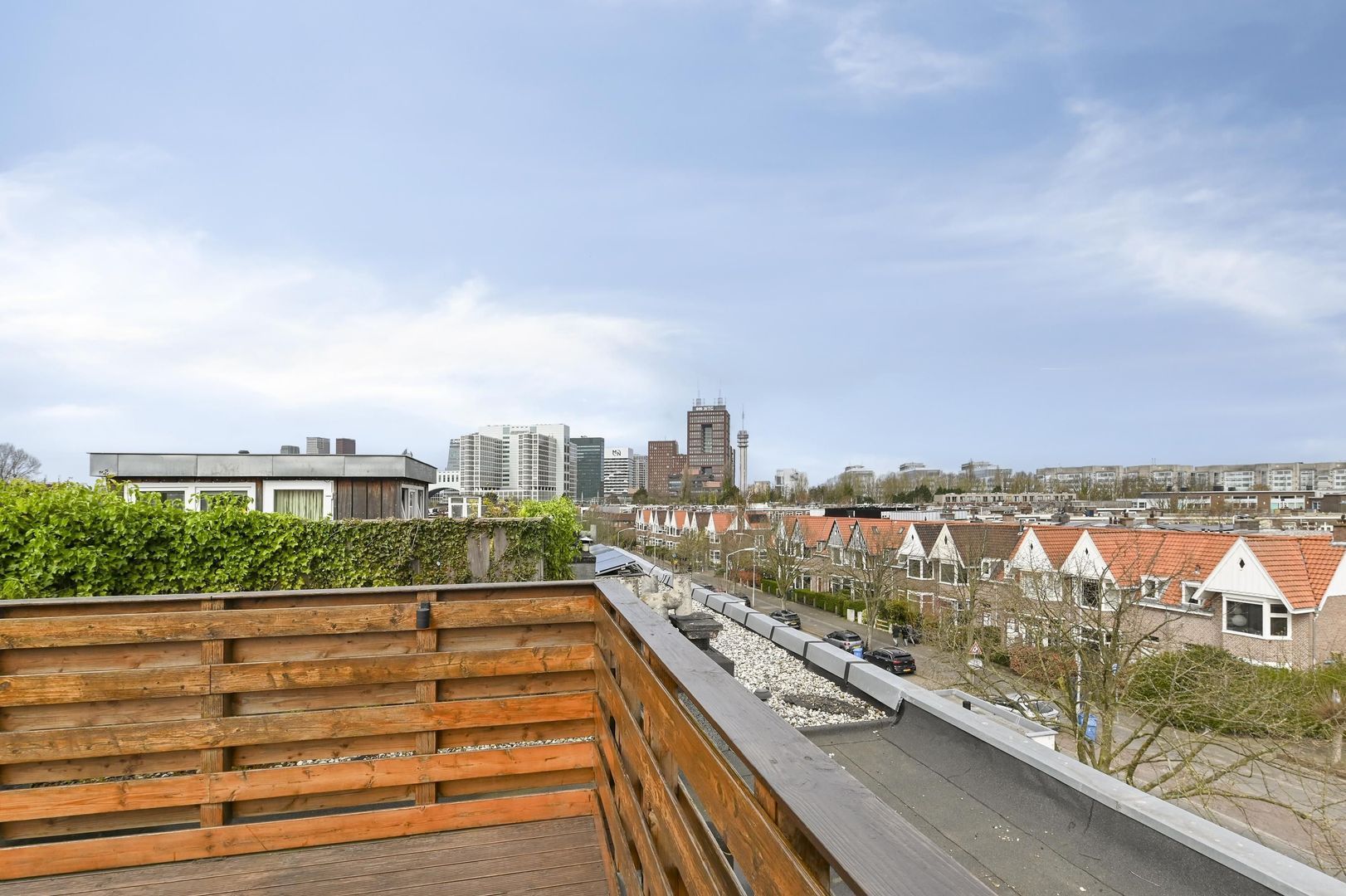 Koningin Wilhelminalaan 442, Voorburg foto-30 blur