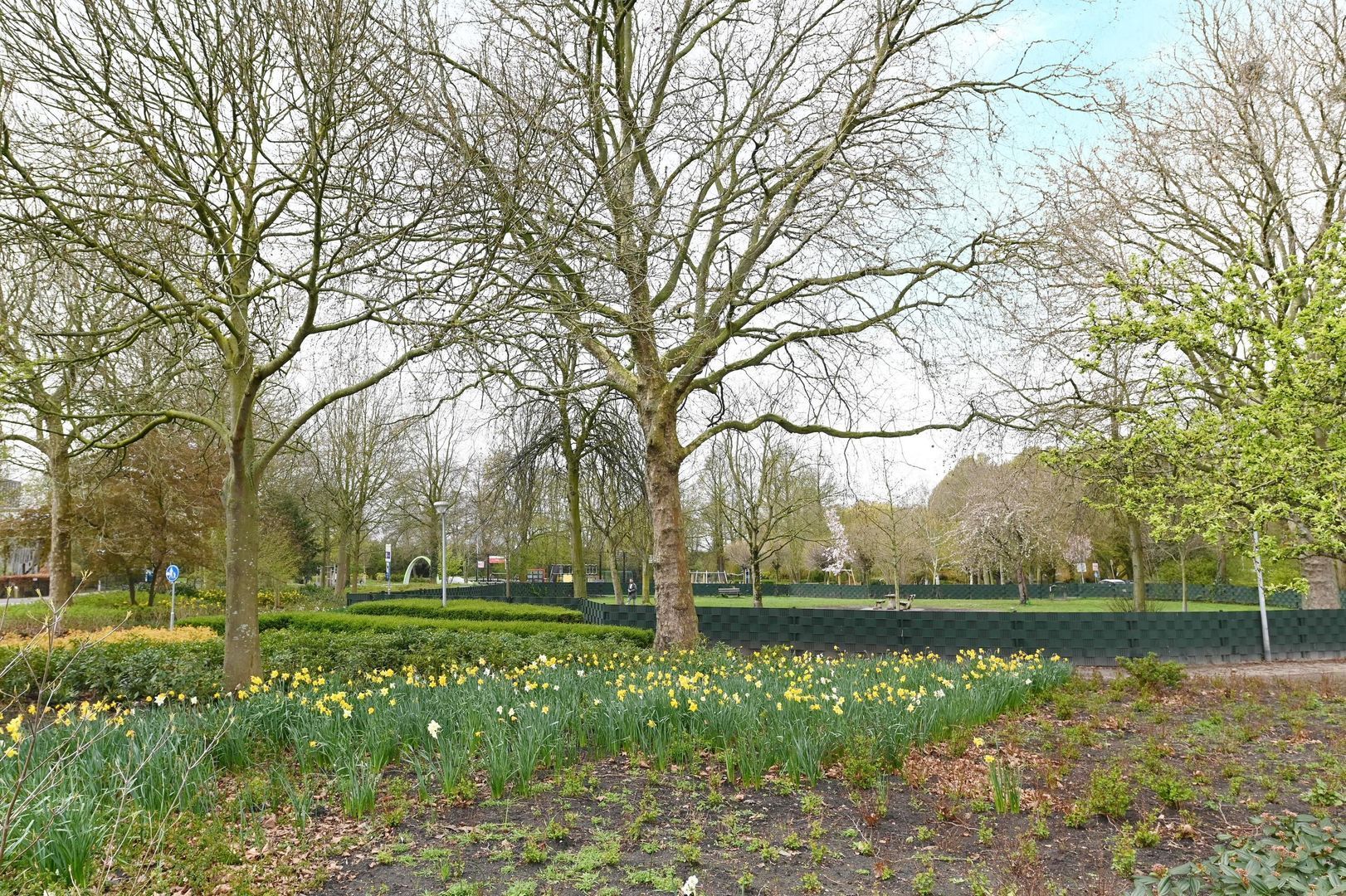 Koningin Wilhelminalaan 442, Voorburg foto-46 blur