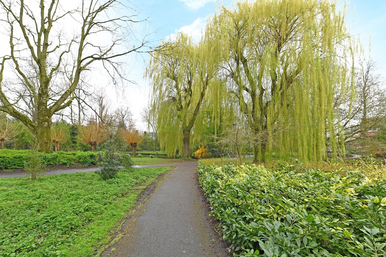 Koningin Wilhelminalaan 442, Voorburg foto-50 blur