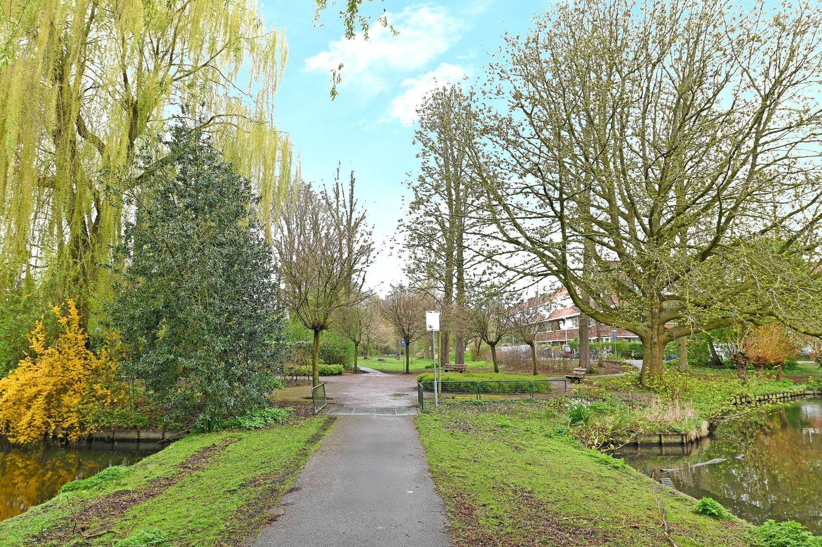 Koningin Wilhelminalaan 442, Voorburg foto-51 blur