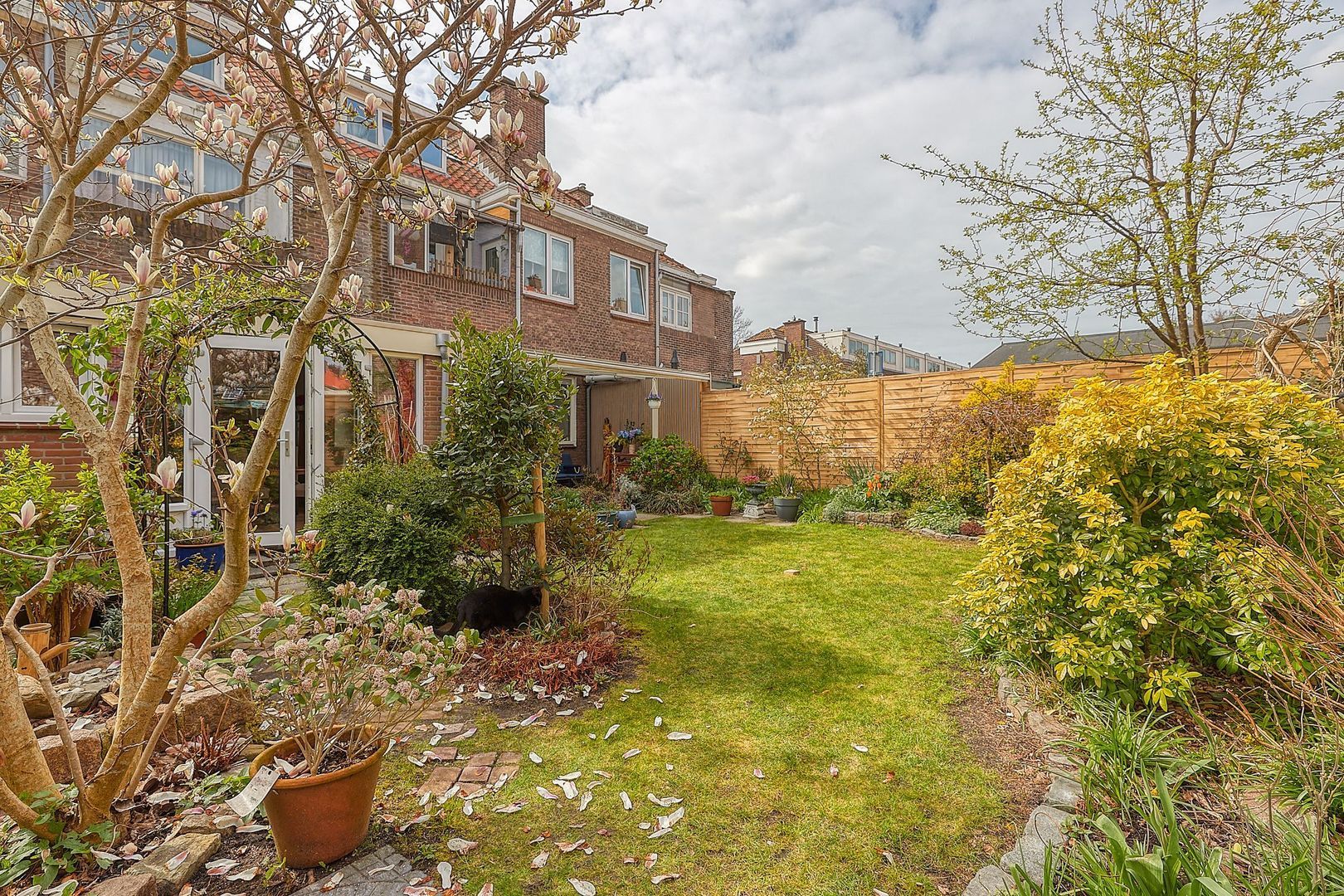 Ouverturestraat 106, Den Haag foto-36 blur