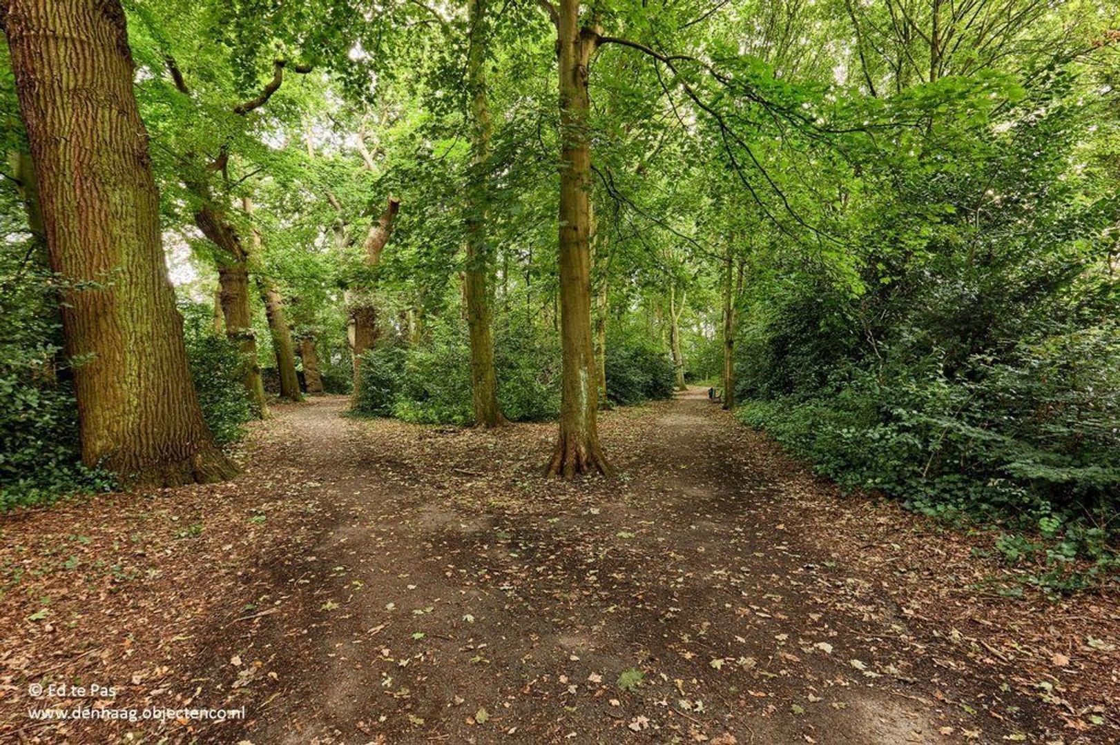 Van Kijfhoeklaan 96, Den Haag foto-29 blur