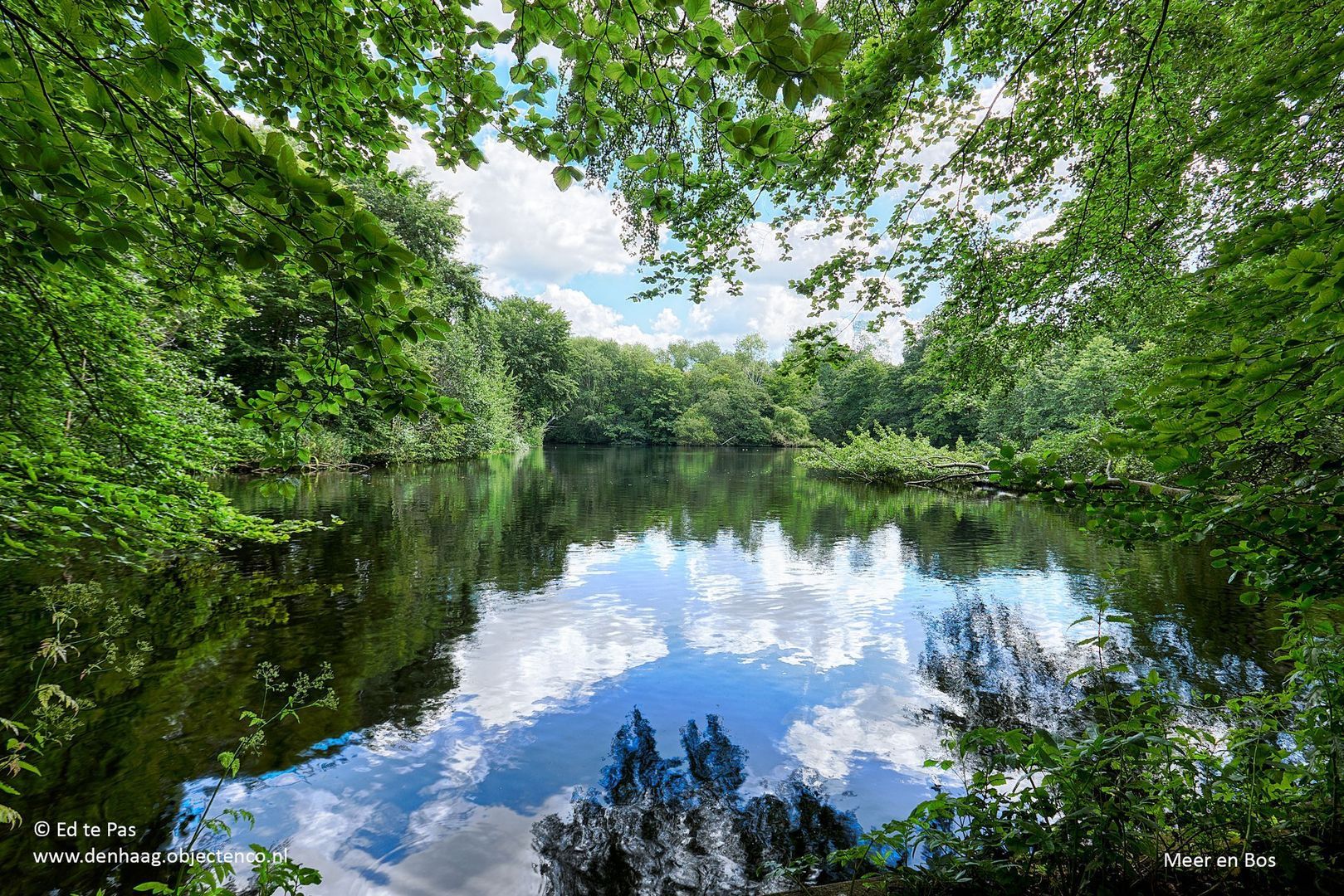 Meppelweg 644, Den Haag foto-41 blur