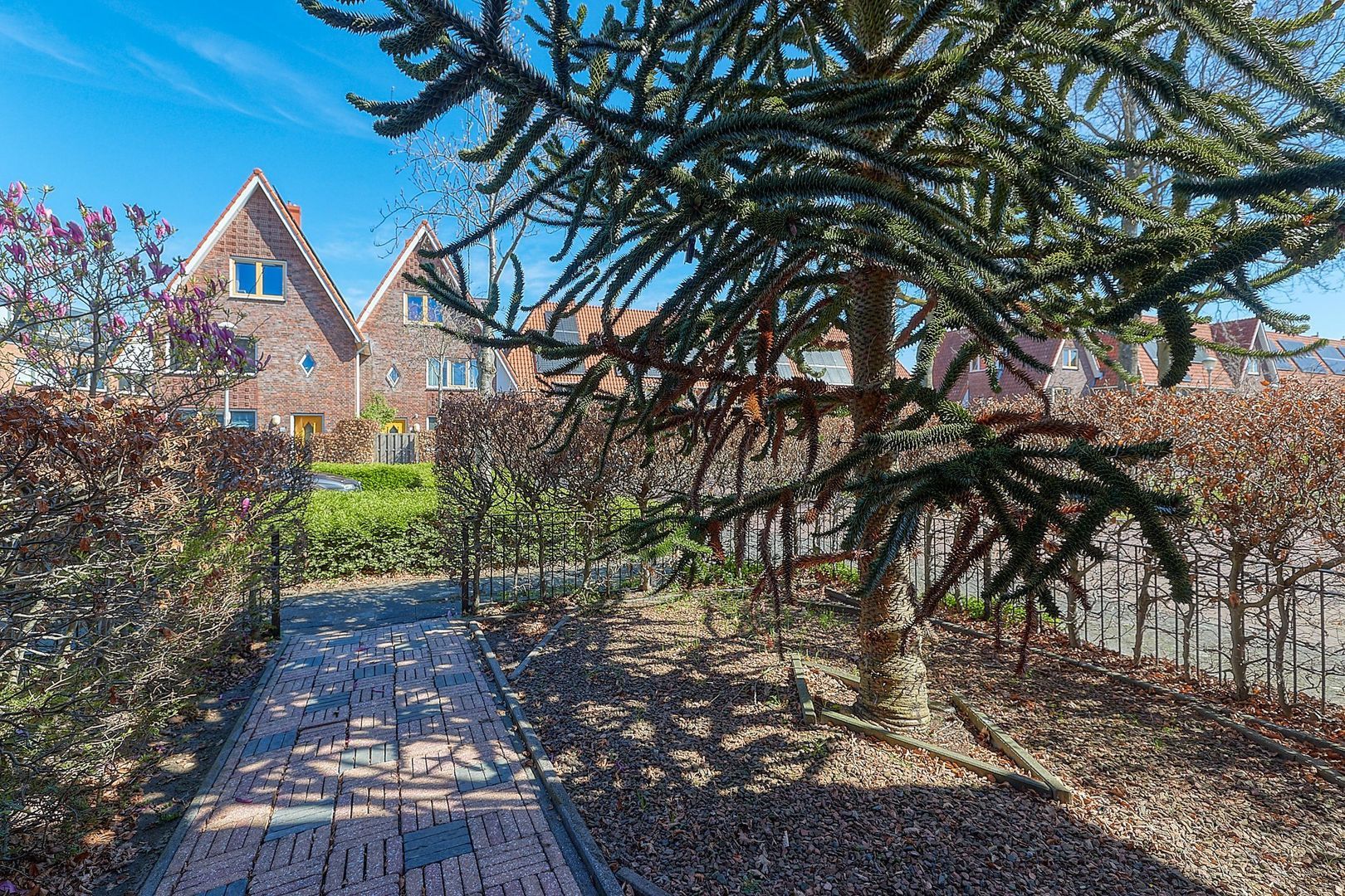 Kerkuillaan 61, Den Haag foto-41 blur