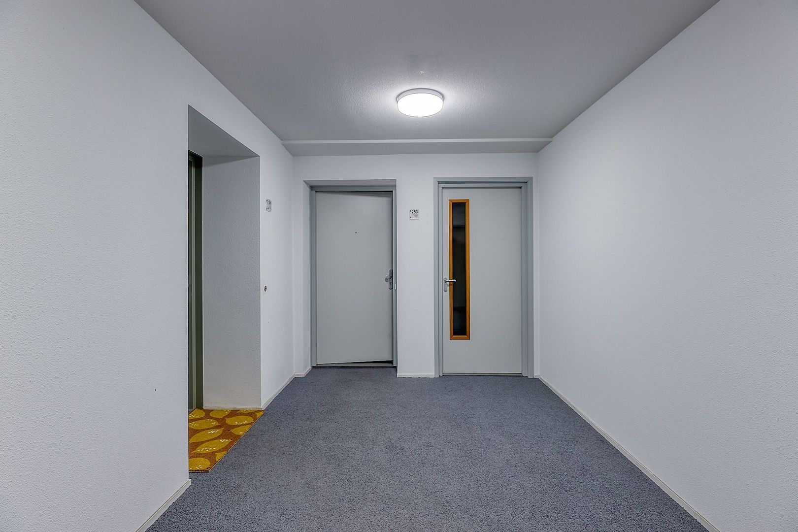 Prins Willem-Alexanderweg 253, Den Haag foto-35 blur